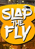 Slap The Fly